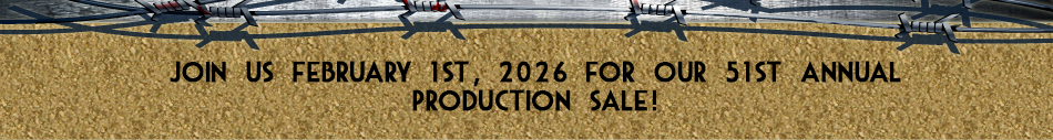 Frey Angus Ranch 38th Annual Production Sale - February 3, 2013